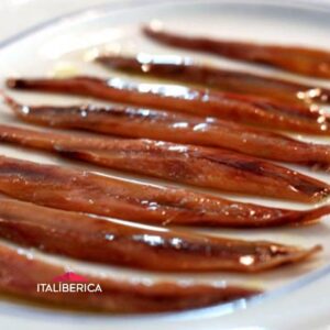 Anchoa del Cantábrico