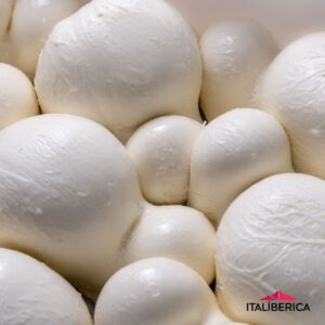 Mozzarella Fior di Latte